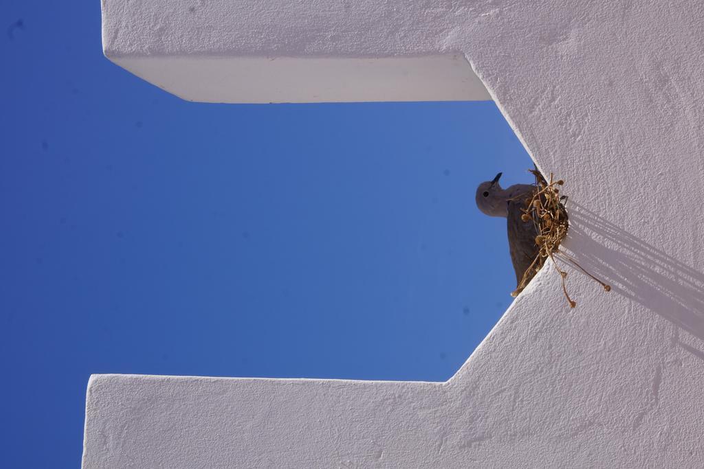 Riad Ksar El Jadida Maroc Exterior foto